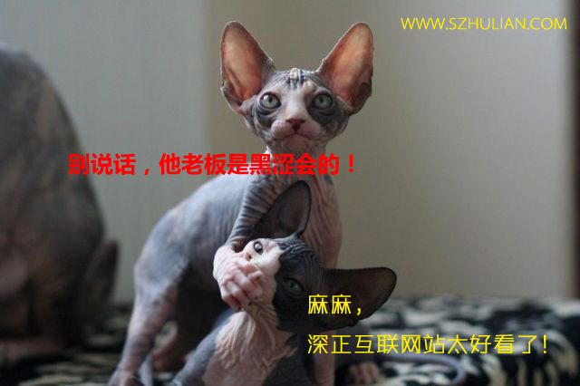 设计网站